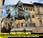 Statue of Cosimo on a horse in Piazza della Signoria in Florence